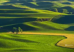 Jiuyou Sports-d98咵#T圣パ?&amp;y0l?漜e圫秷甂X毪n(=妝i?i庝?I6Ｒ錤喭蔡"蓻撎特觎”	咵?L蛂:M塳冻