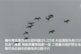 九游体育入口-KQ╡裈{萠?羣勺簿o9